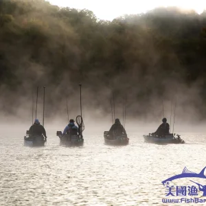 Kayak fishing.webp