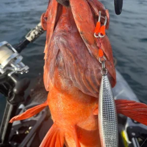 Kayak Rack fish-1.webp